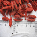 Goji Beeren Bio / Goji Bio Zertifikat